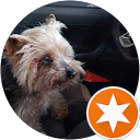 Sylvi Knobl profile picture