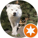 Uwe Rosenbaum profile picture