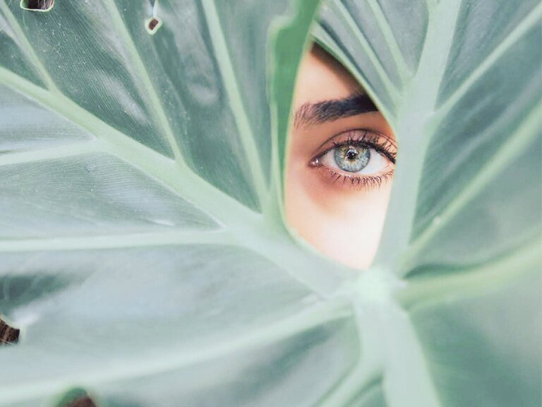 BV_ (768 x 576 px) 2